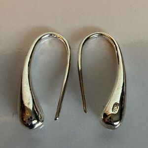 Sleek Silver Teardrop Earrings